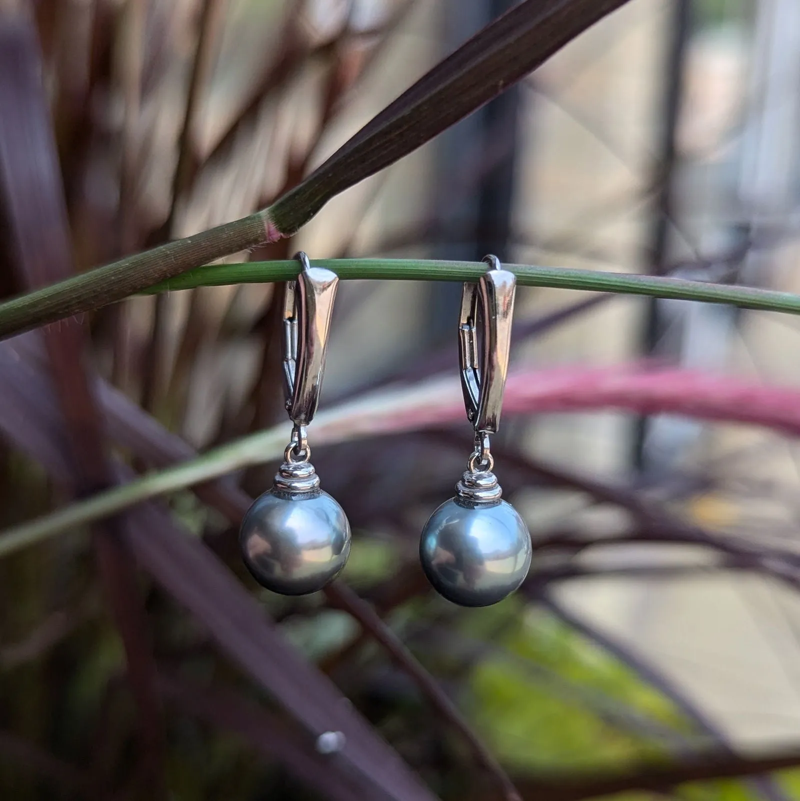 Grey Tahitian Pearl dangles