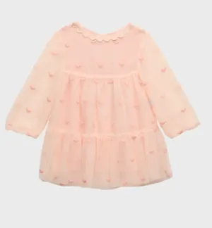 Tulle Embroidered Dress