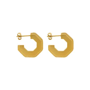 Vibrant Titanium Plated French Boutique Earrings with Timeless Appeal